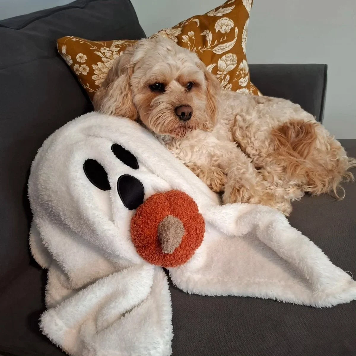 Spooky season at Amegreen