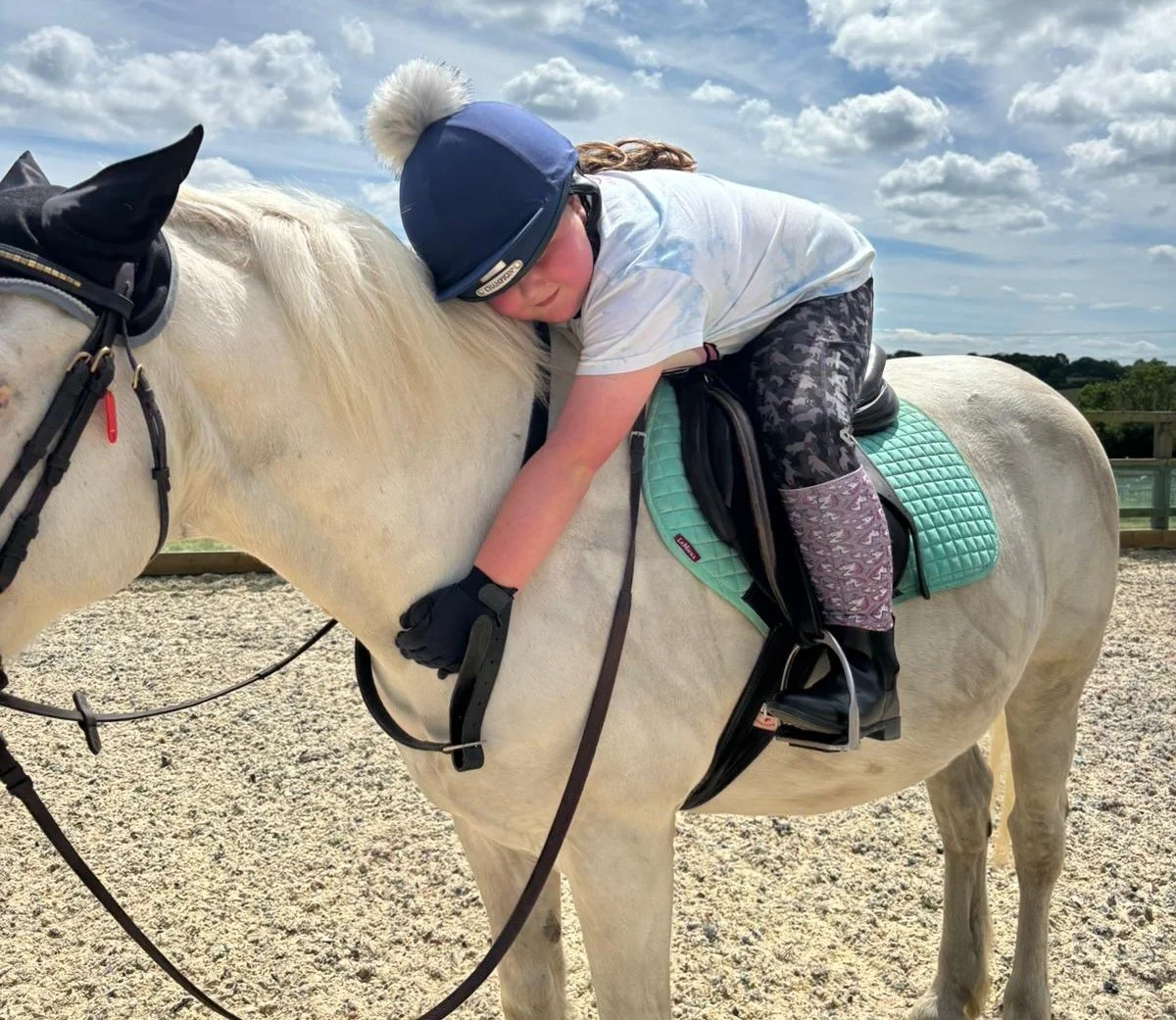 Stable Futures recognised by Riding for the Disabled Association